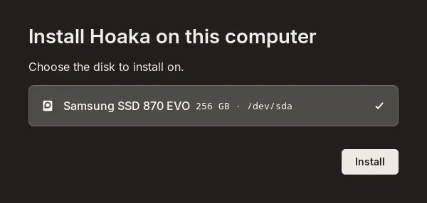 The installer's disk choice